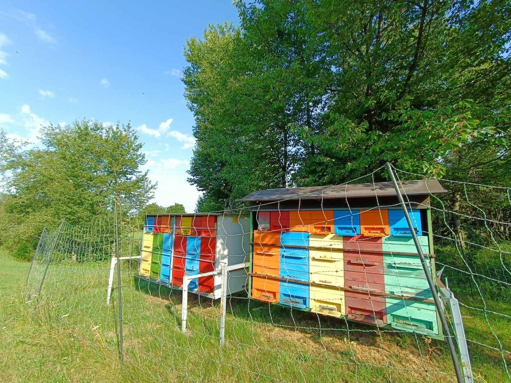 Apartma Mihatovi Pivka Exterior photo